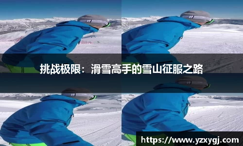 哈哈体育平台